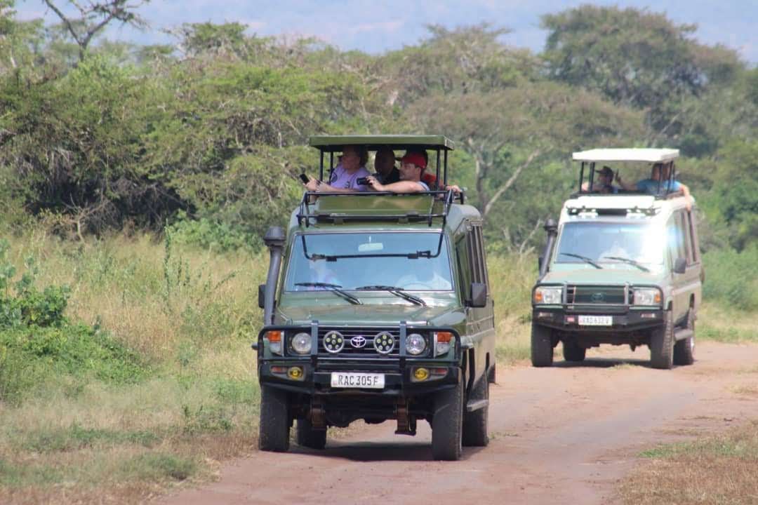 Hermosa Life Tours and Travel Rwanda — tour operator in Makuza Peace Plaza, Rwanda – photo 1