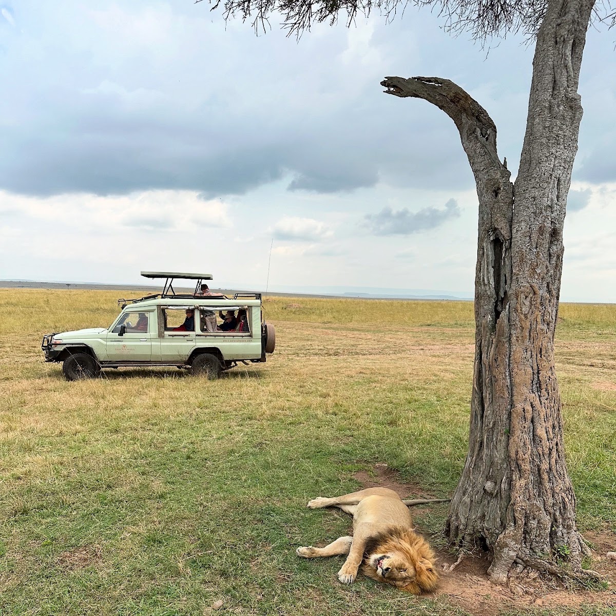 Super Eagles Travel and Tours Limited — tour operator in PR89+G3Q 5th Floor, Kenya – photo 6