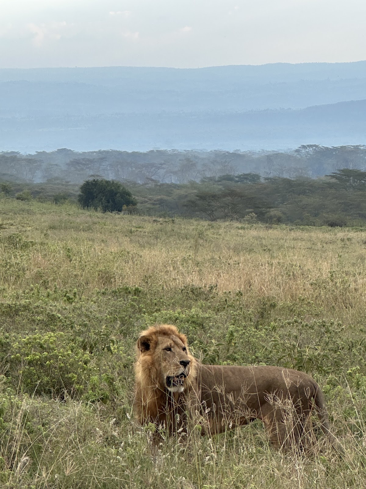 Super Eagles Travel and Tours Limited — tour operator in PR89+G3Q 5th Floor, Kenya – photo 4